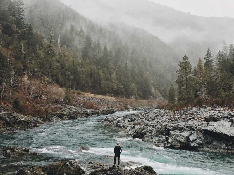 Nisi mi duis mattis scelerisque quisque blandit